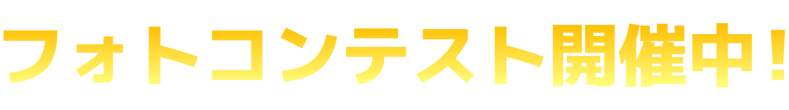 フォトコンテスト開催中